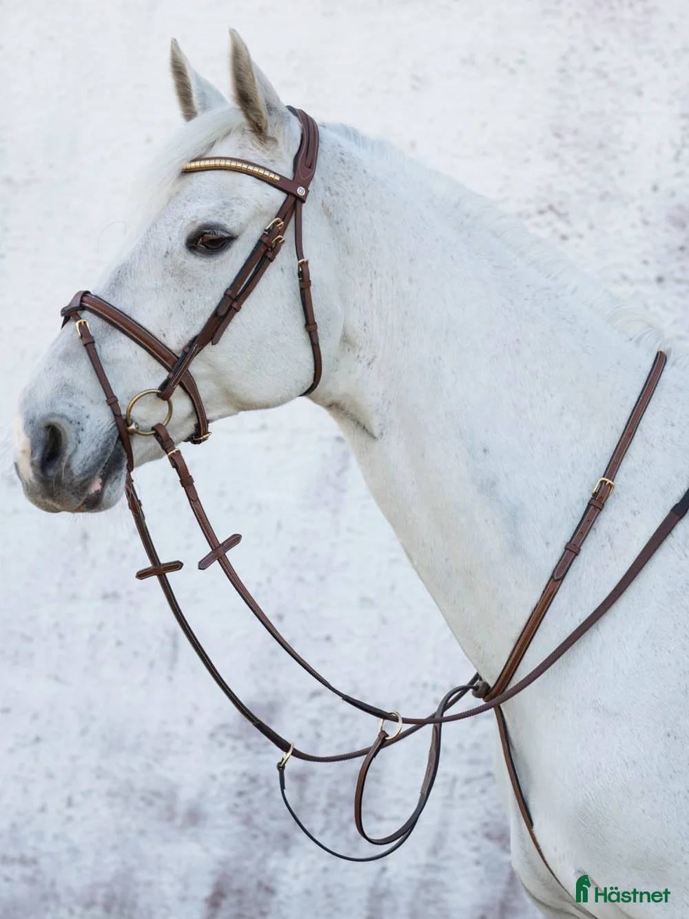 Övrig Hästutrustning hästutrustning till salu: Jacson martingal i Örkelljunga - Annons 6