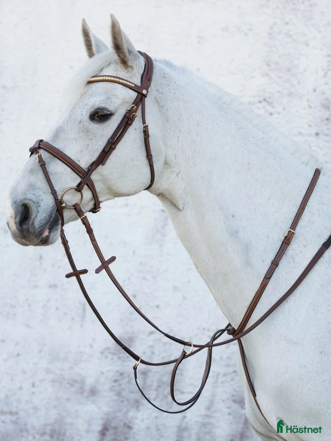 Övrig Hästutrustning hästutrustning till salu: Jacson martingal i Örkelljunga - Annons 1