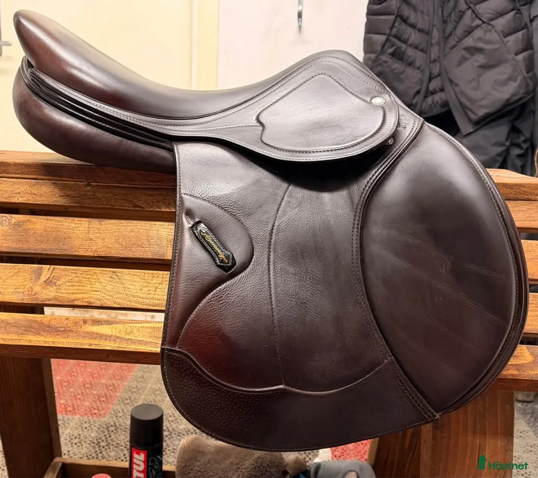 Sadlar hästutrustning till salu: Amerigo DJ Professional Pinerolo 17,5" M (2018) - Annons 1