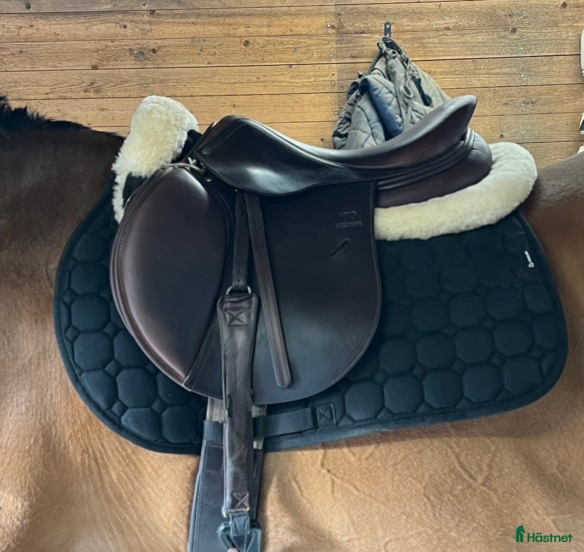 Sadlar hästutrustning till salu: Antares Altair 17,5, AO1 i Sundsvall - Annons 17