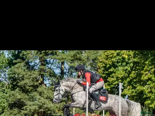 hästar Drömponny inom valfri gren - Annons 20