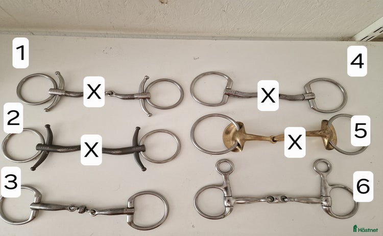 Bett hästutrustning till salu i Linköping - Annons 13