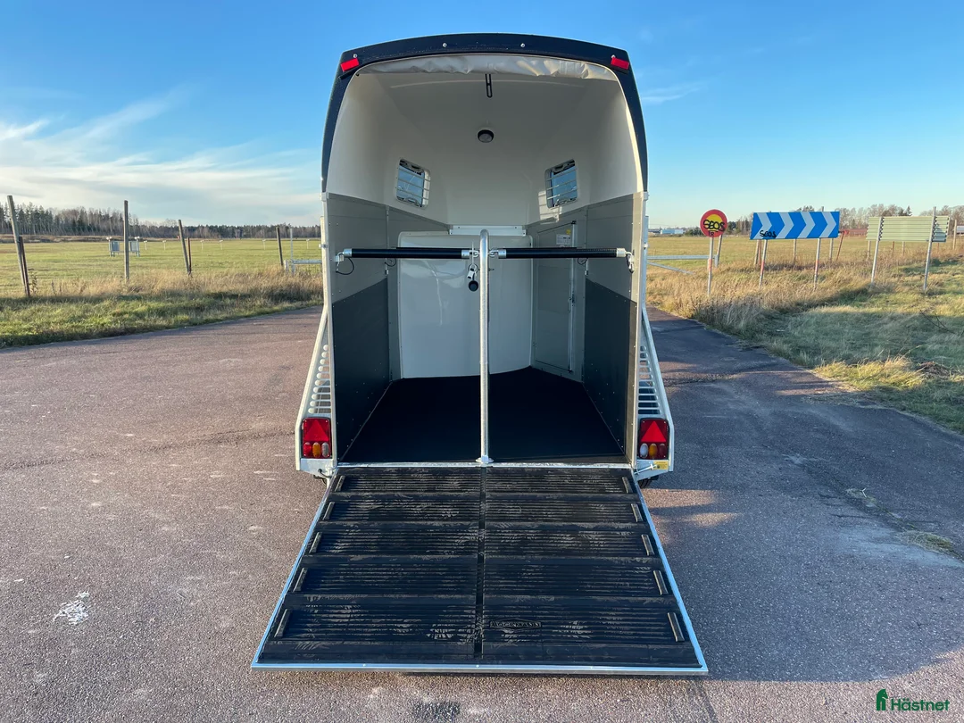 Hästtransporter  fordon & transport till salu: Böckmann Champion #2026 med kombiramp! Kampanj! - Annons 5