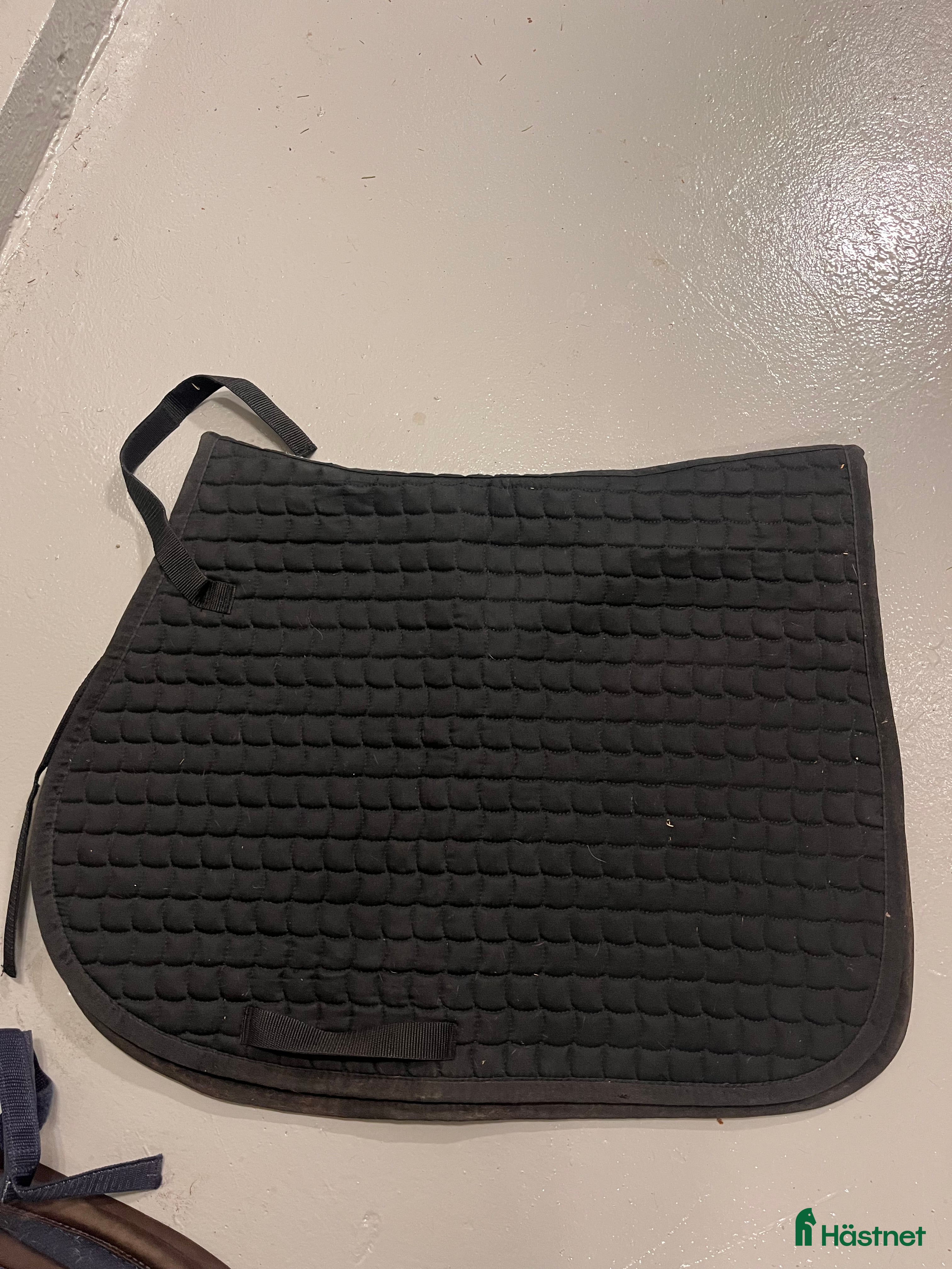 Schabrak & Vojlockar hästutrustning Svart hoppschabrak i Stockholm - Annons 22