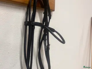 Träns hästutrustning till salu: Rundsytt Kandar i Helsingborg - Annons 2