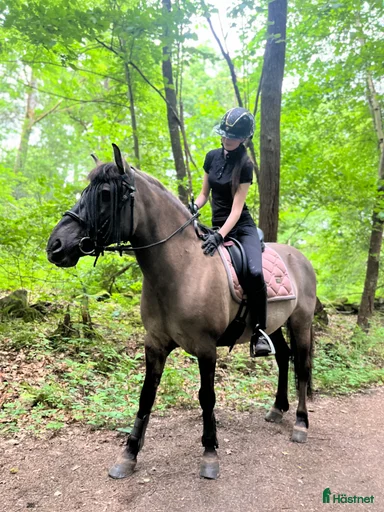 Galleribild {{count}}