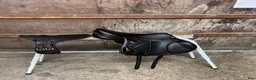 Sadlar hästutrustning till salu: Equipe EK-Evo 16,5” - Annons 3