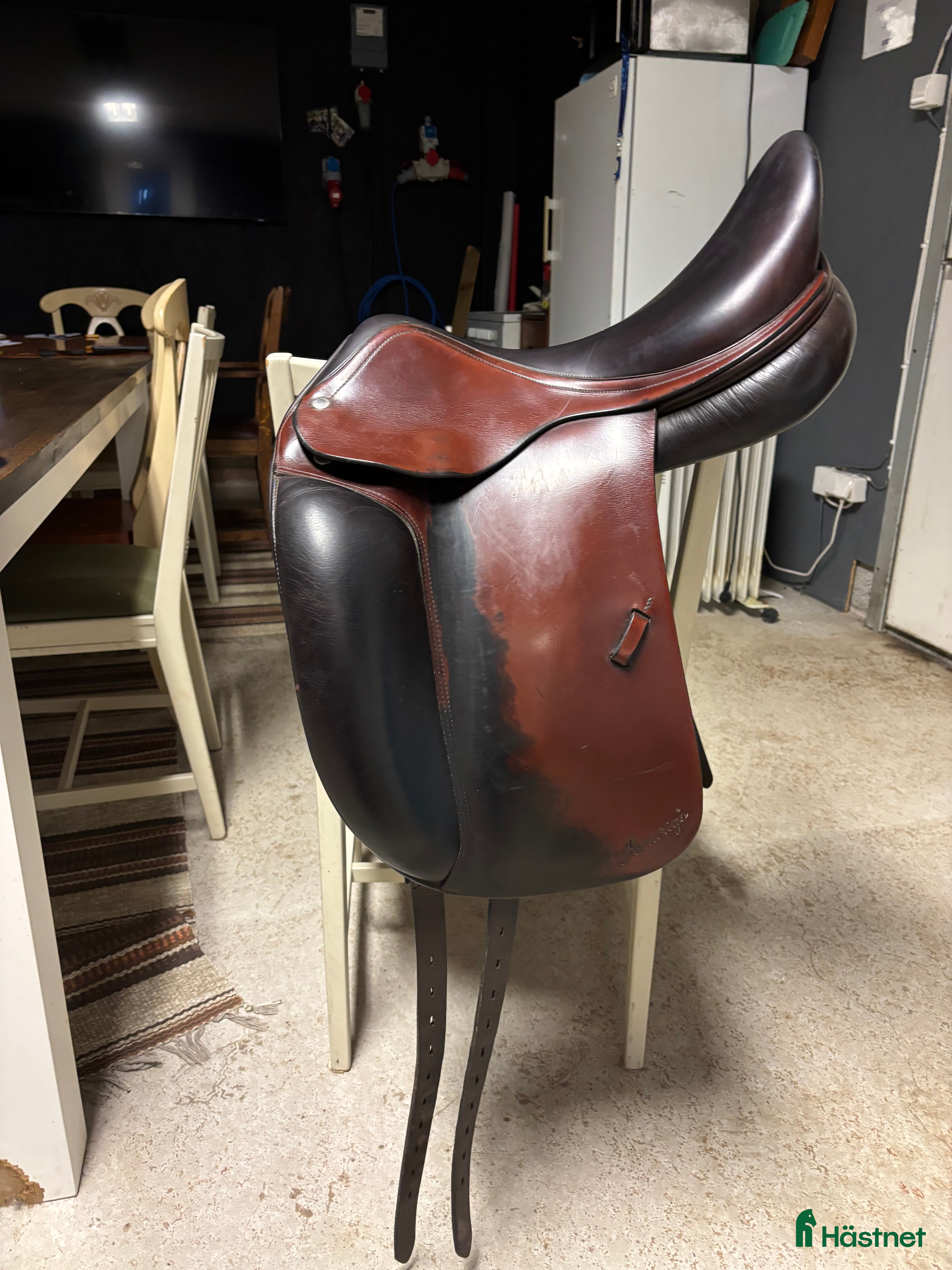 Sadlar hästutrustning till salu: Amerigo classic i Jät - Annons 21