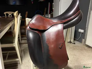 Sadlar hästutrustning Amerigo classic i Jät - Annons 19