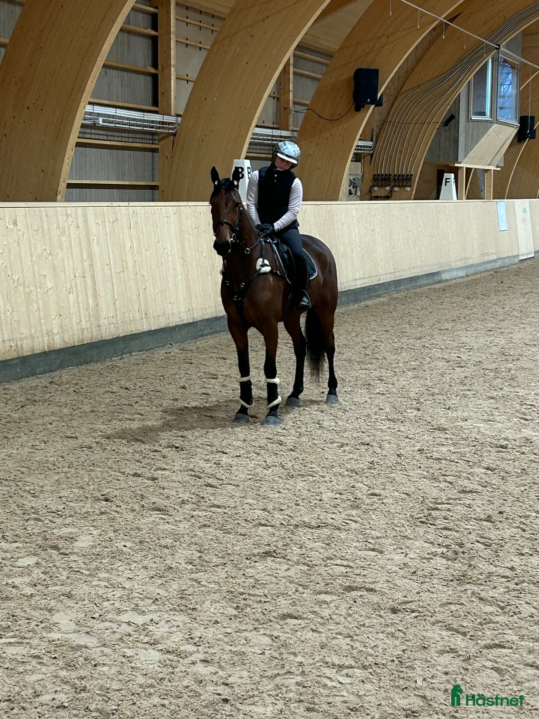 Allround hästar till salu: BBS Laphroaig trevlig ridhäst med fin inställning i Borlänge - Annons 3