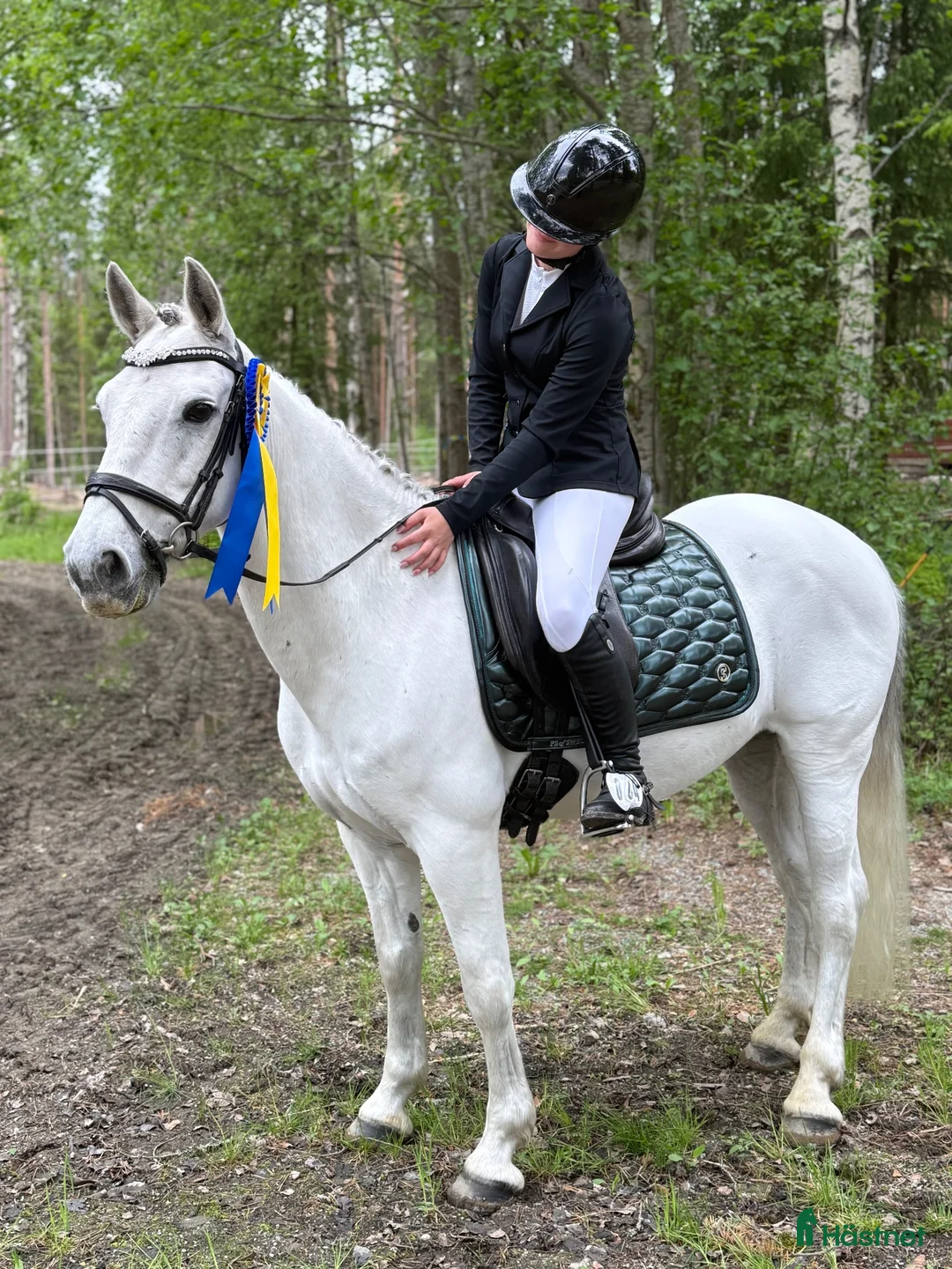 Allround hästar till salu: Ballyerk Dinny – Fantastisk C-ponny - Annons 2