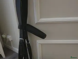 Träns hästutrustning Svart träns av märket capriole - Annons 6