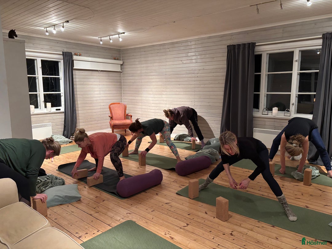  stallplats finnes: Behöver du stallplats på Ekerö?  i Skå - Annons 36