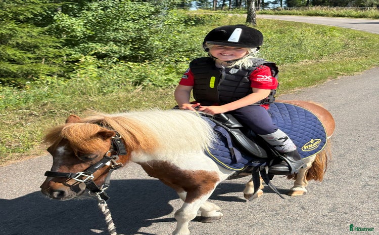  stallplats i Västervik - Annons 12