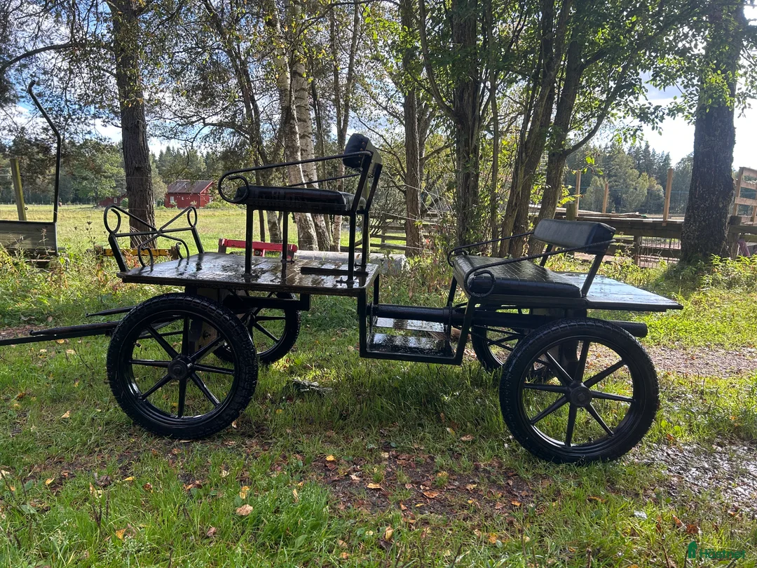 Körvagnar körning till salu: Unik Parvagn 4-sitsig  i Skövde - Annons 2