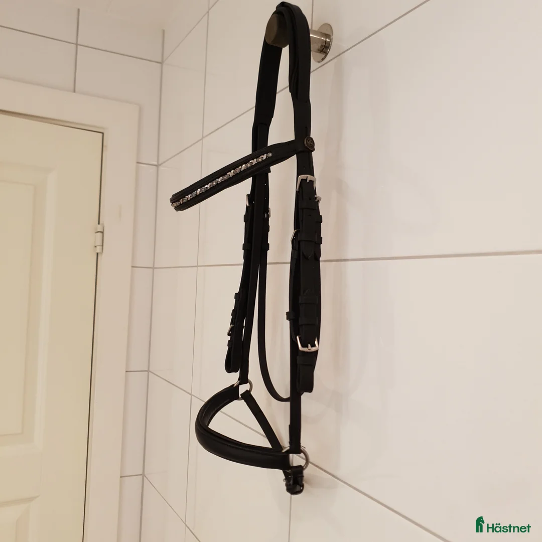 Träns hästutrustning till salu: Svart remontträns inkl tygel Cob/Full - Annons 2