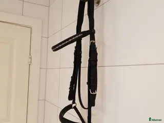 Träns hästutrustning Svart remontträns Cob/Full - Annons 17