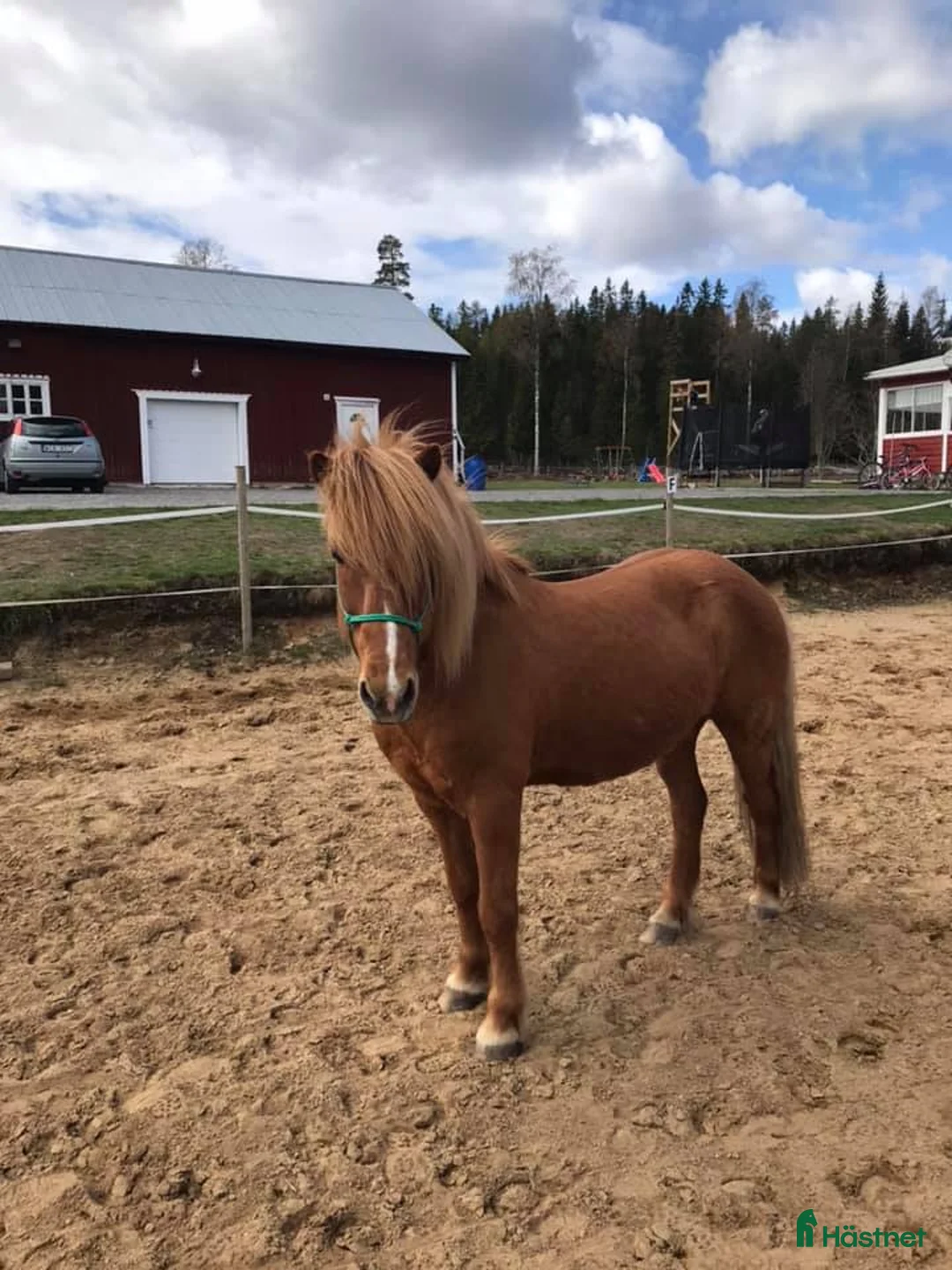Sadlar hästutrustning till salu: Knights Aragon, dressyrsadel - Annons 2