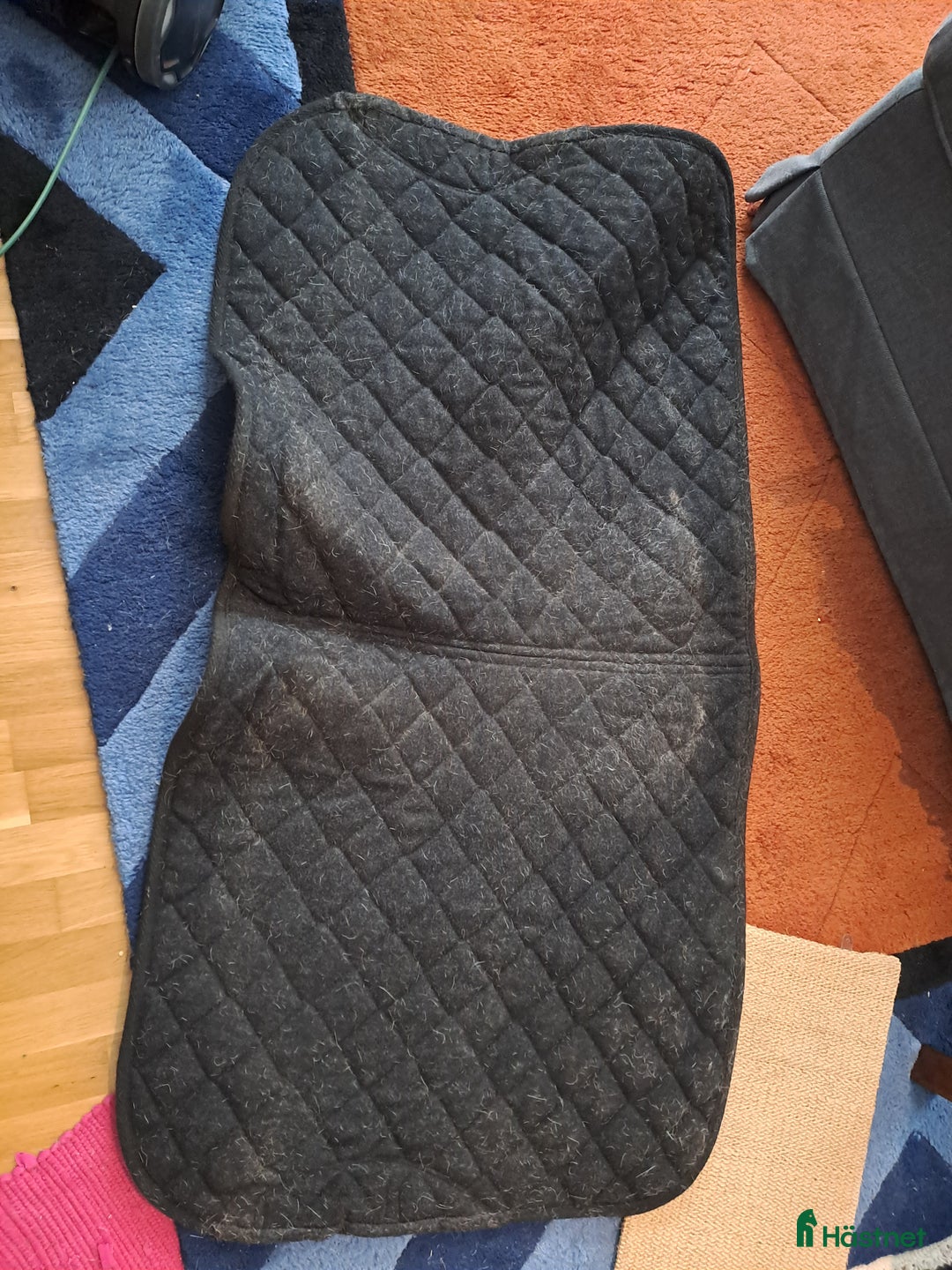 Schabrak & Vojlockar hästutrustning till salu: Dressyr schabrak i Jonstorp - Annons 3