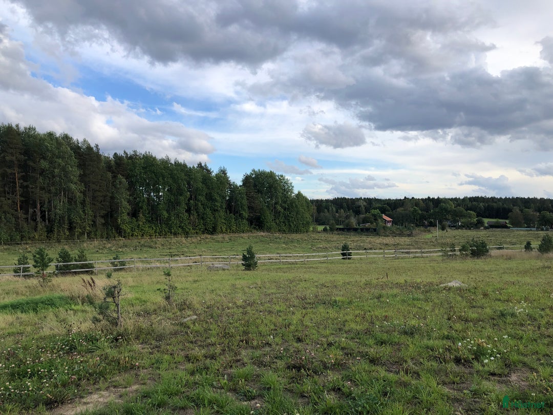  stallplats finnes: Plats i lösdrift i Vittinge - Annons 8