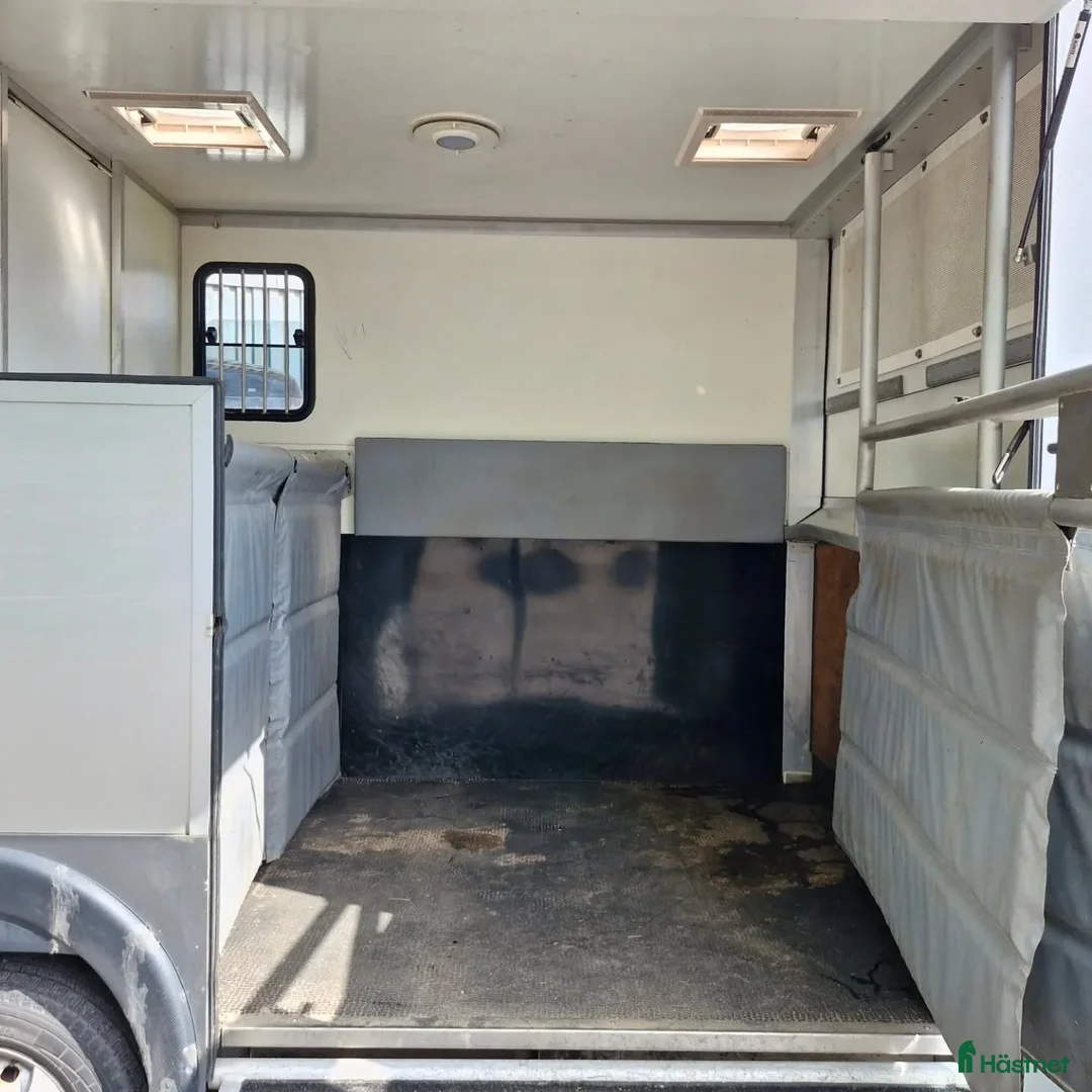 Hästtransporter  fordon & transport till salu:  Peugeot Boxer MSG Stablehopper i Borås - Annons 14