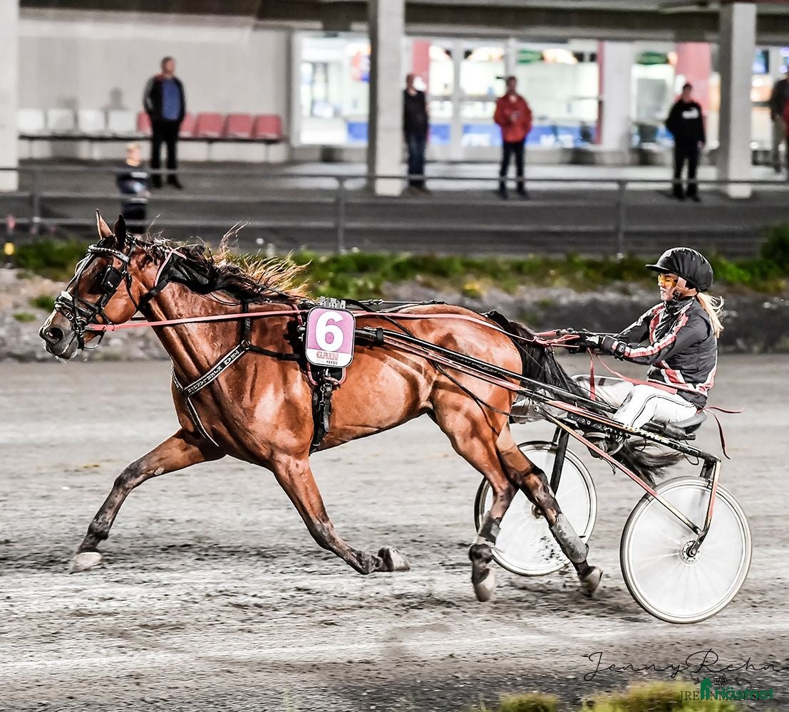 Travvagnar trav till salu: Vagnar säljes - Annons 1