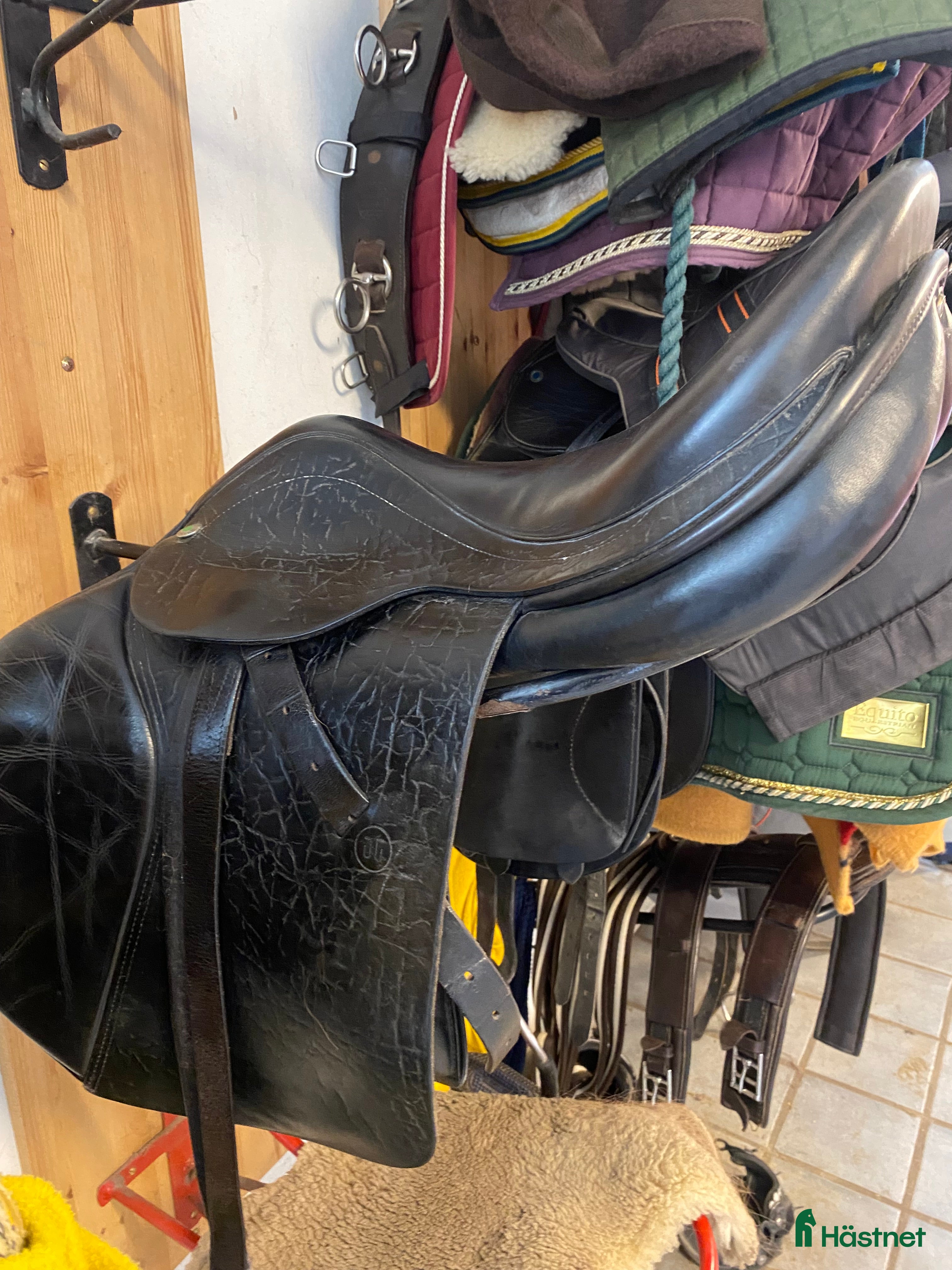 Sadlar hästutrustning till salu: Jensen XP  i Tygelsjö - Annons 12