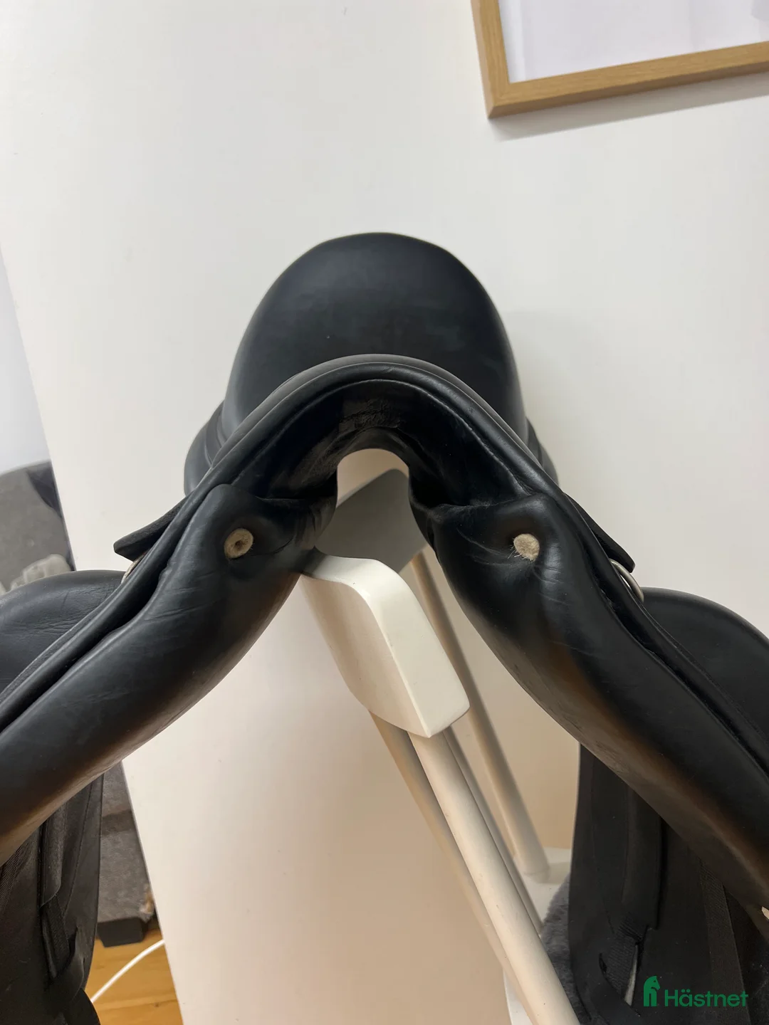 Sadlar hästutrustning till salu: Antarés signature i Enköping - Annons 4