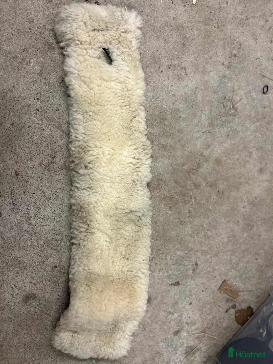 Övrig Hästutrustning hästutrustning till salu: Blandad utrustning? i Gävle - Annons 4