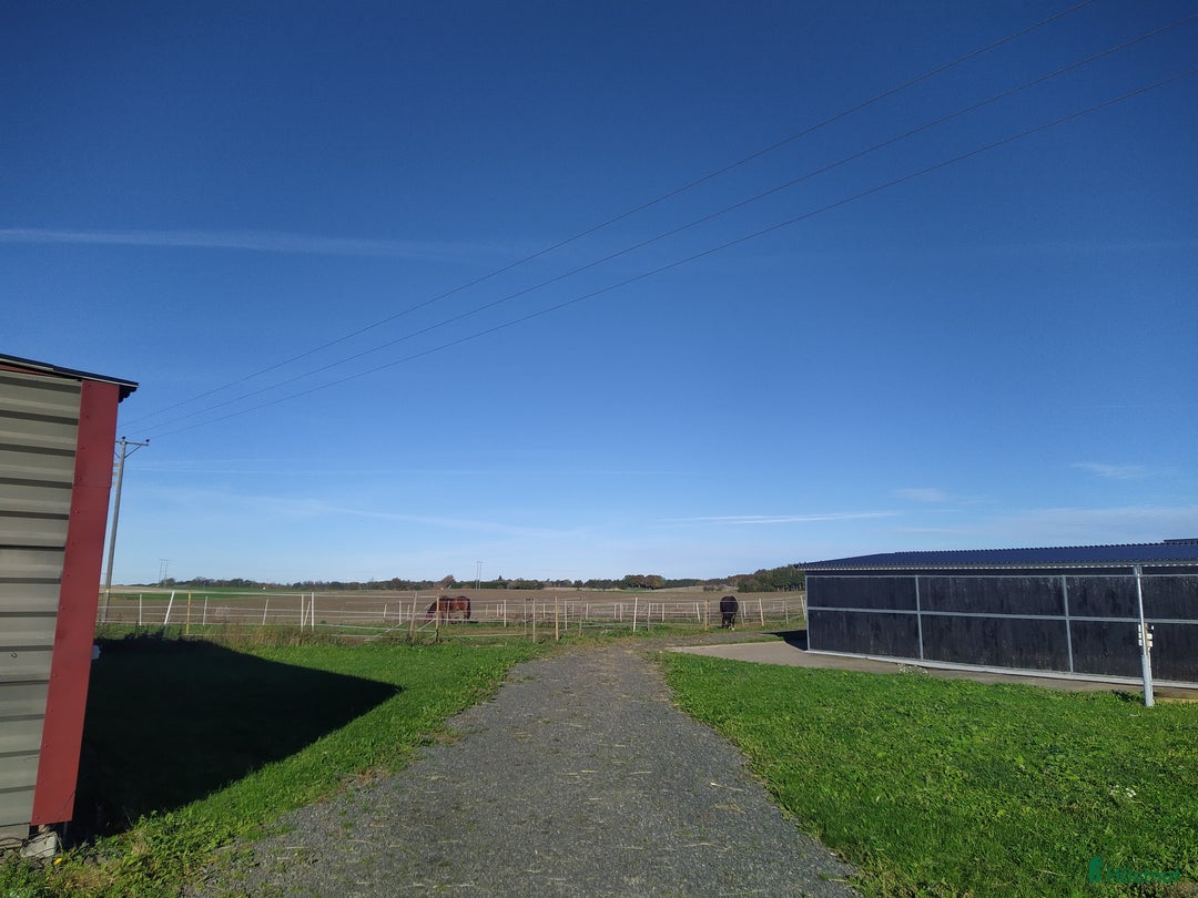  stallplats finnes: Hästboxar att hyra på en fantastisk tomt.  i Tomelilla - Annons 4