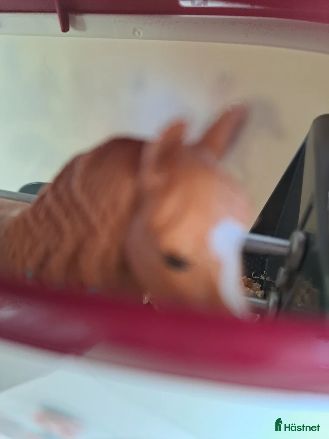 Hästinspirerad heminredning övrig utrustning till salu: Schleich fux welch i Västerfärnebo - Annons 2