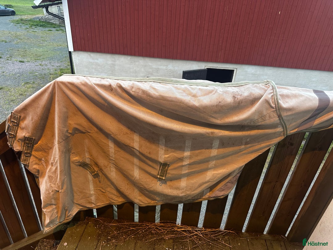 Täcken hästutrustning till salu: Säljer billiga flugtäcken! i Forserum - Annons 7