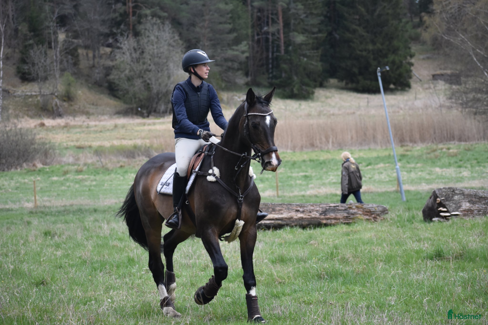  hästservice Tillridning/sommarhjälp/bete/tävling mm - Annons 6