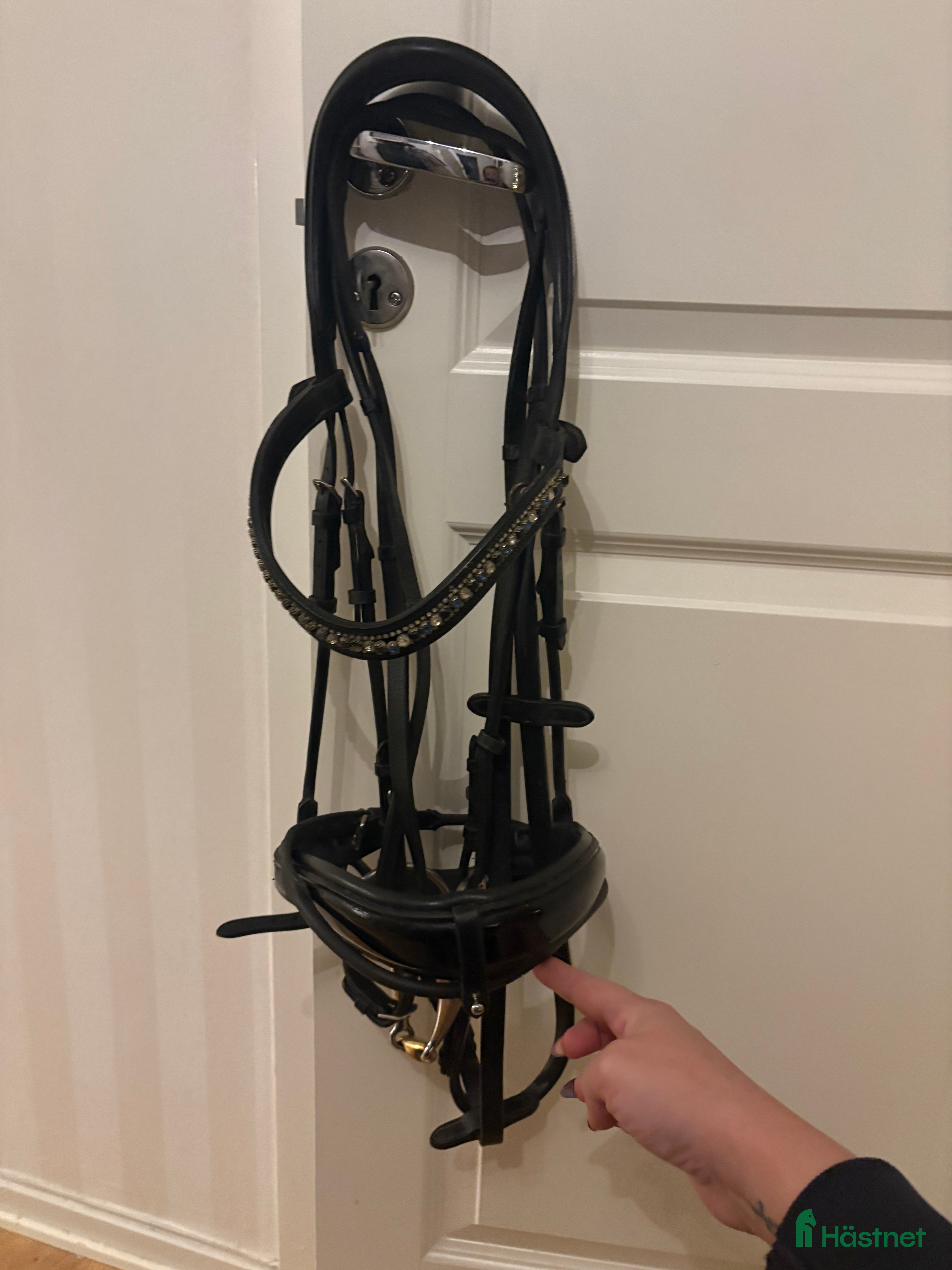 Träns hästutrustning till salu: Ps of Sweden träns  i Göteborg - Annons 3