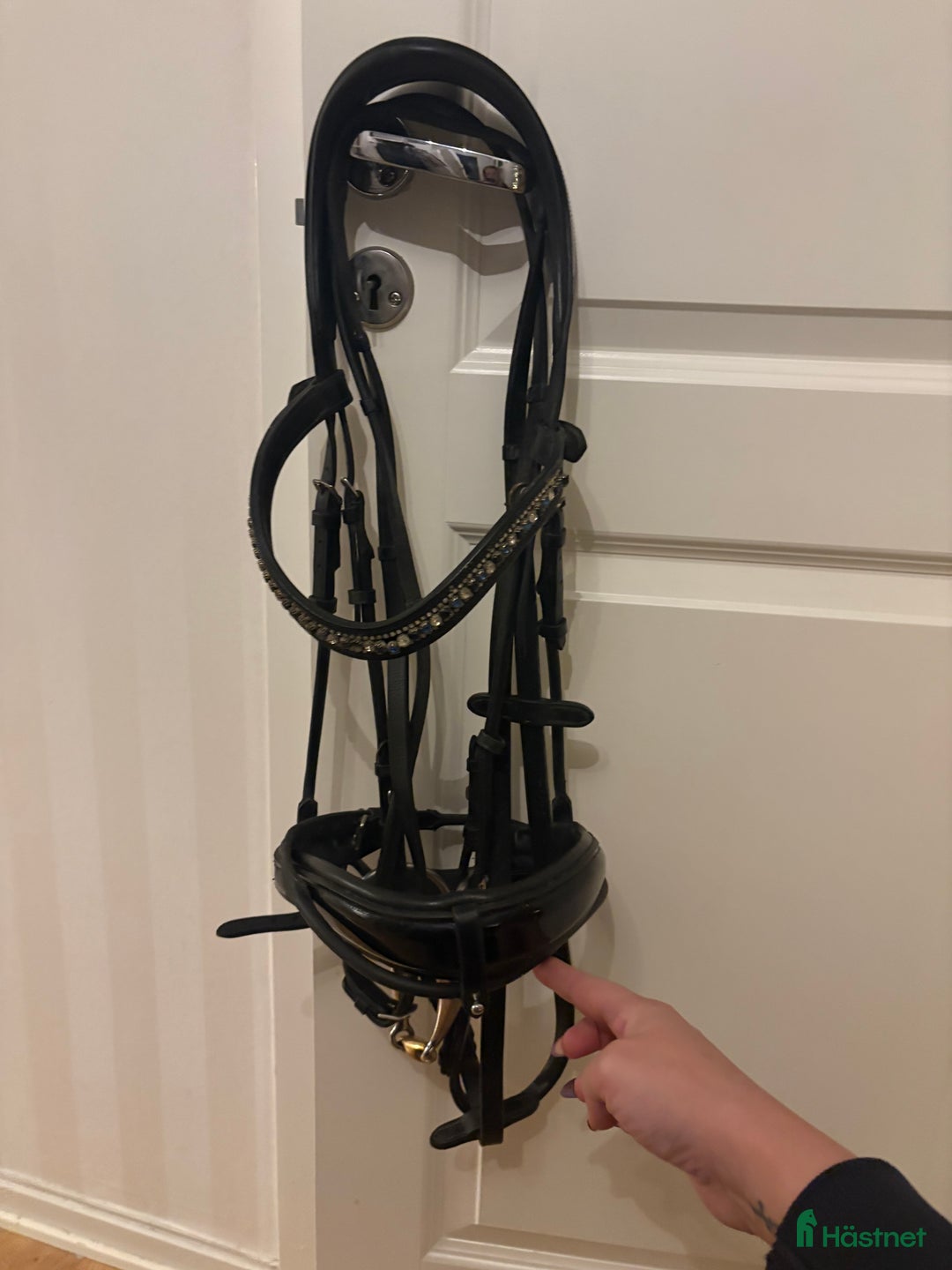 Träns hästutrustning till salu: Ps of Sweden träns  i Göteborg - Annons 1