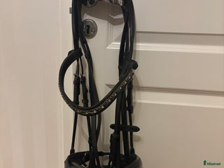 Träns hästutrustning till salu: Ps of Sweden träns i Göteborg - Annons 10