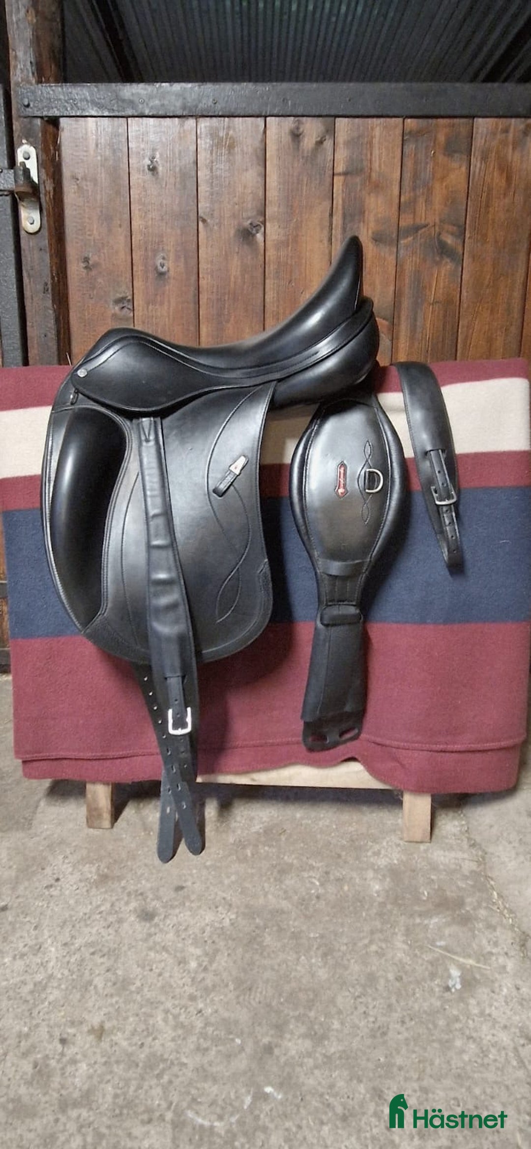 Sadlar hästutrustning till salu: Equipe Olympia, sadelgjord & stigläder i Hjärnarp - Annons 1