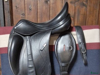 Sadlar hästutrustning till salu: Equipe Olympia, sadelgjord & stigläder i Hjärnarp - Annons 8