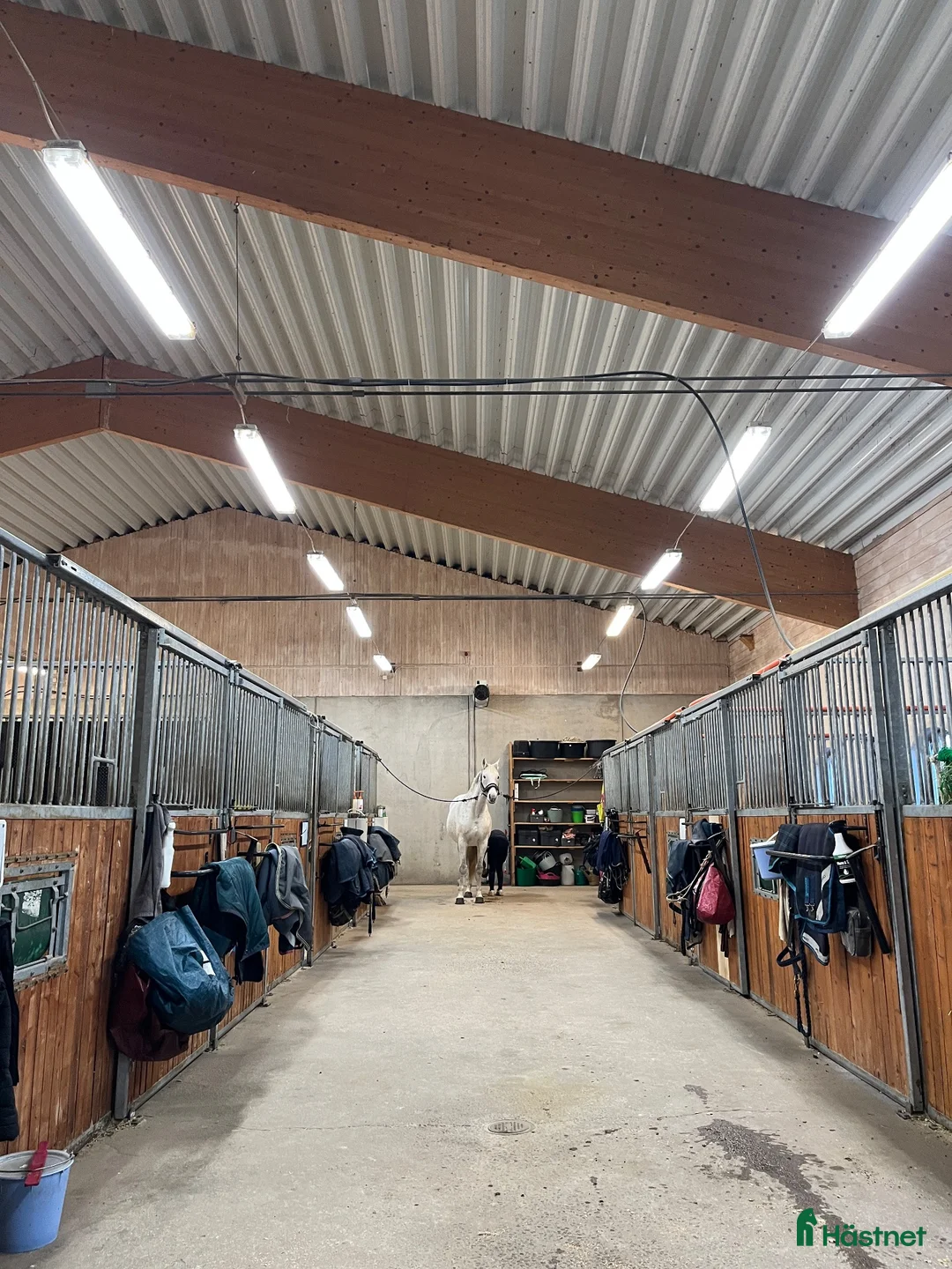  stallplats finnes: Boxplatser i Norr Amsberg i Borlänge. i Borlänge - Annons 2