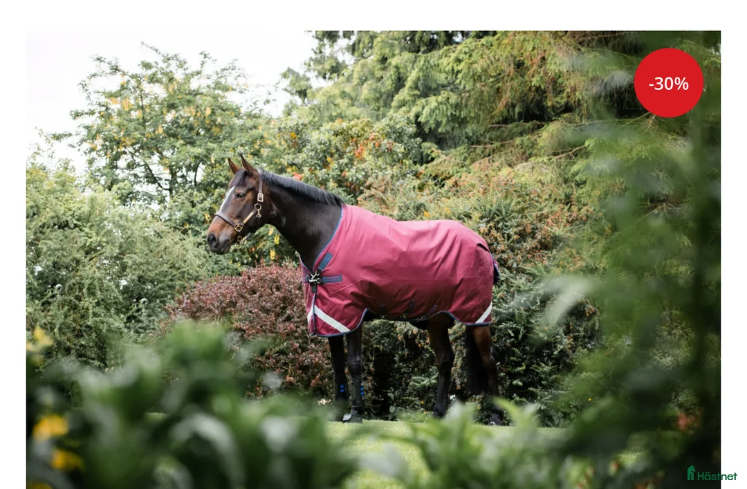 Täcken hästutrustning till salu: Rambo 0g regntäcke - Annons 1