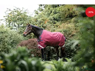 Täcken hästutrustning Rambo 0g regntäcke - Annons 1
