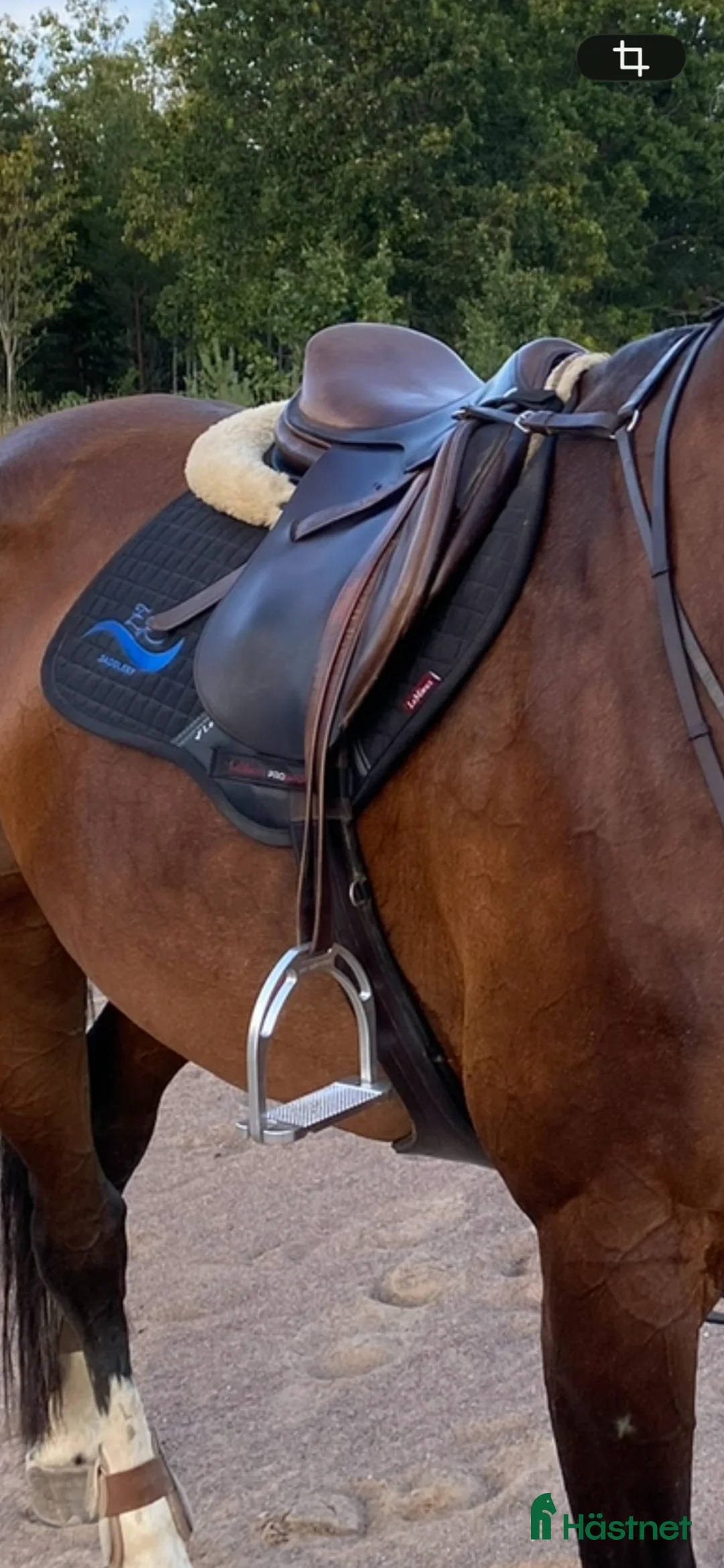 Stigbyglar hästutrustning till salu: Jin stigbyglar - Annons 3