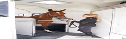 Hästtransporter  fordon & transport till salu: Falsterbo erbjudande Forzab EQ2 - Annons 4