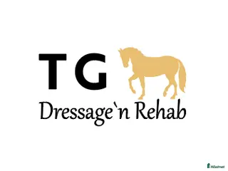 hästservice finnes: Tullnäs Gård Dressage´n Rehab - Annons 3