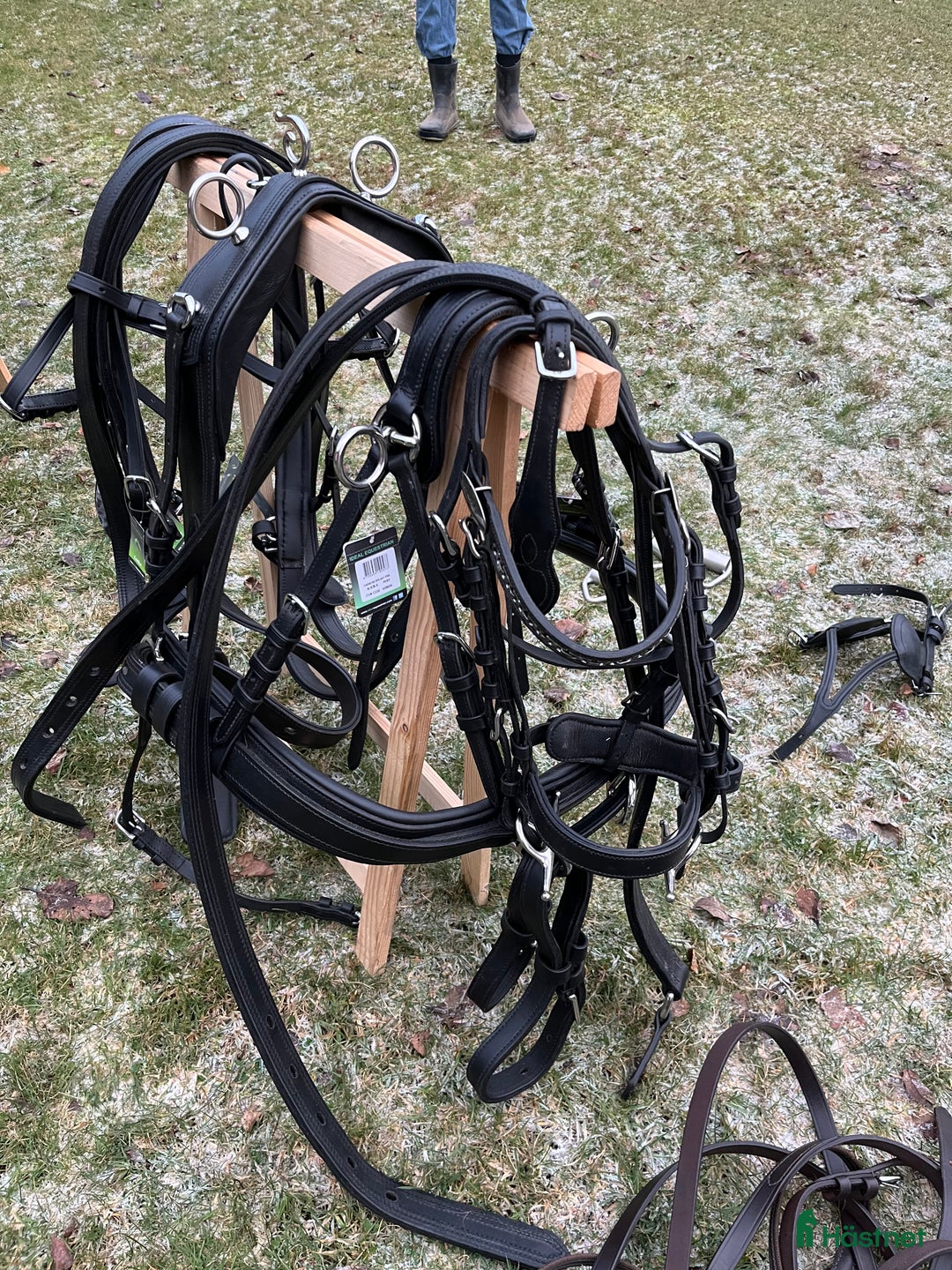 Körselar körning till salu: Parselar ponny Ideal i Västra Ämtervik - Annons 8