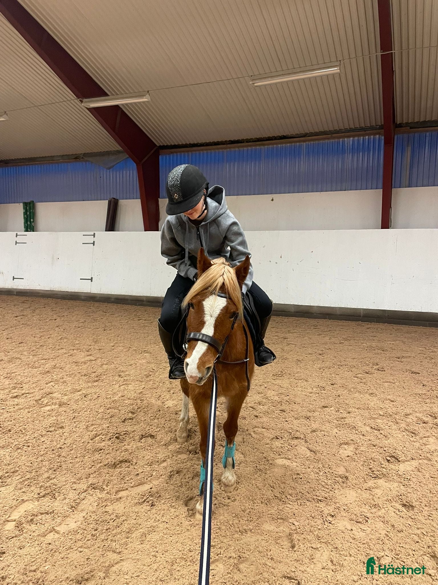 Hoppning hästar till salu: Framtids ponny!  - Annons 3