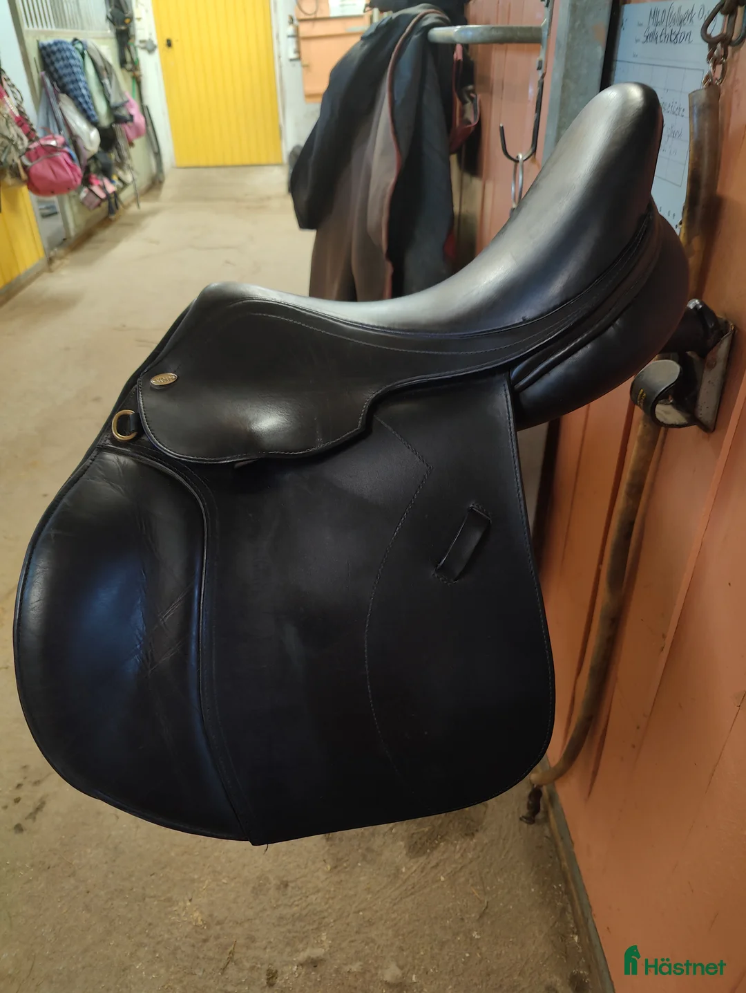 Sadlar hästutrustning till salu: Fin Globus clic i Östersund - Annons 1