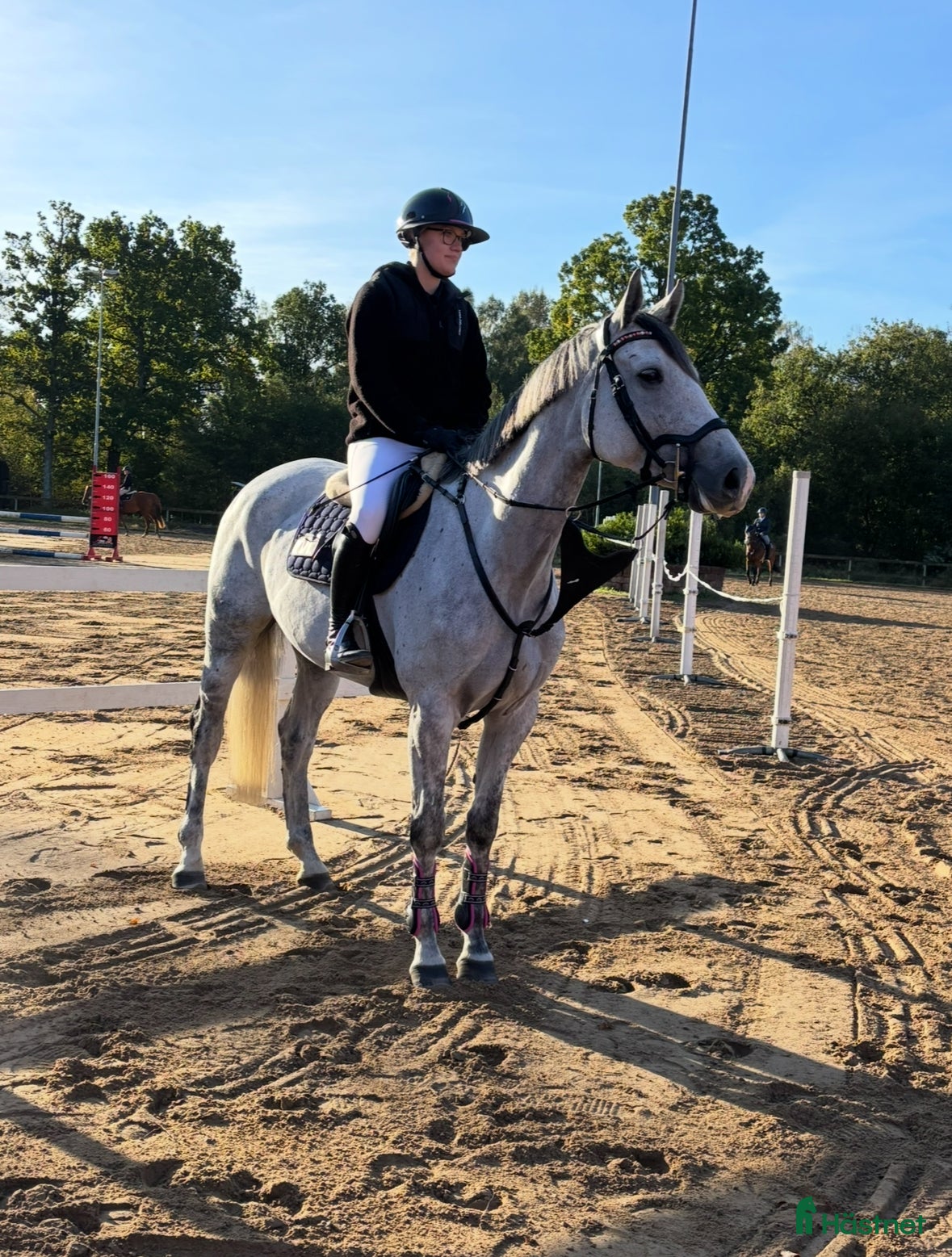  hästar Sto med power för hoppning eller fälttävlan - Annons 1