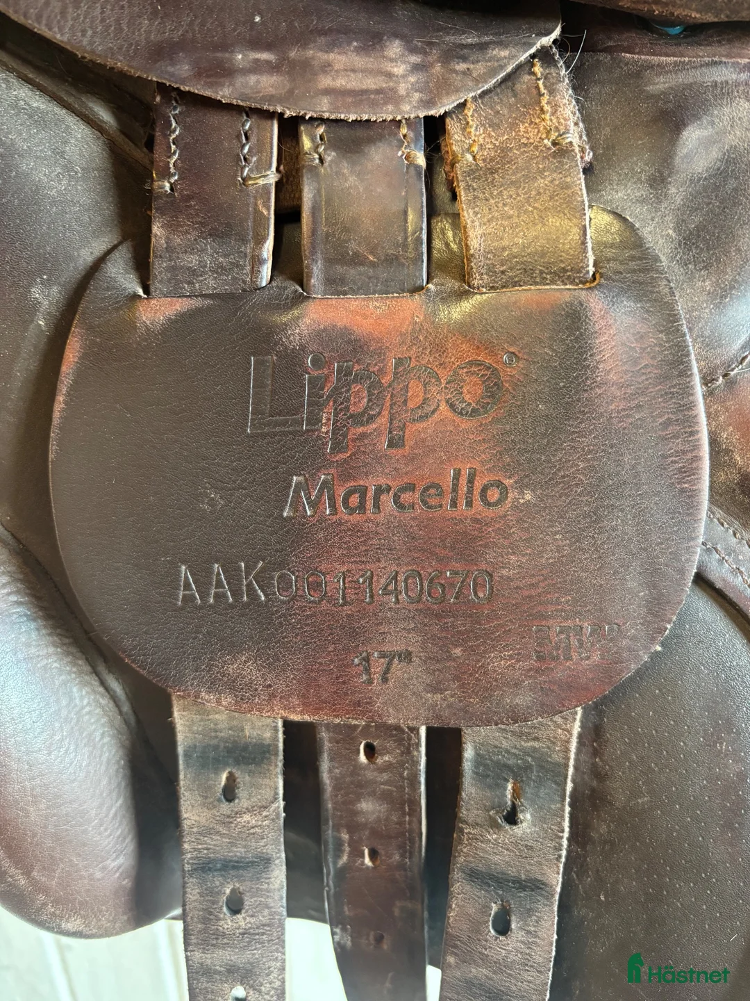 Sadlar hästutrustning till salu: Lippo marcello 17” - Annons 5