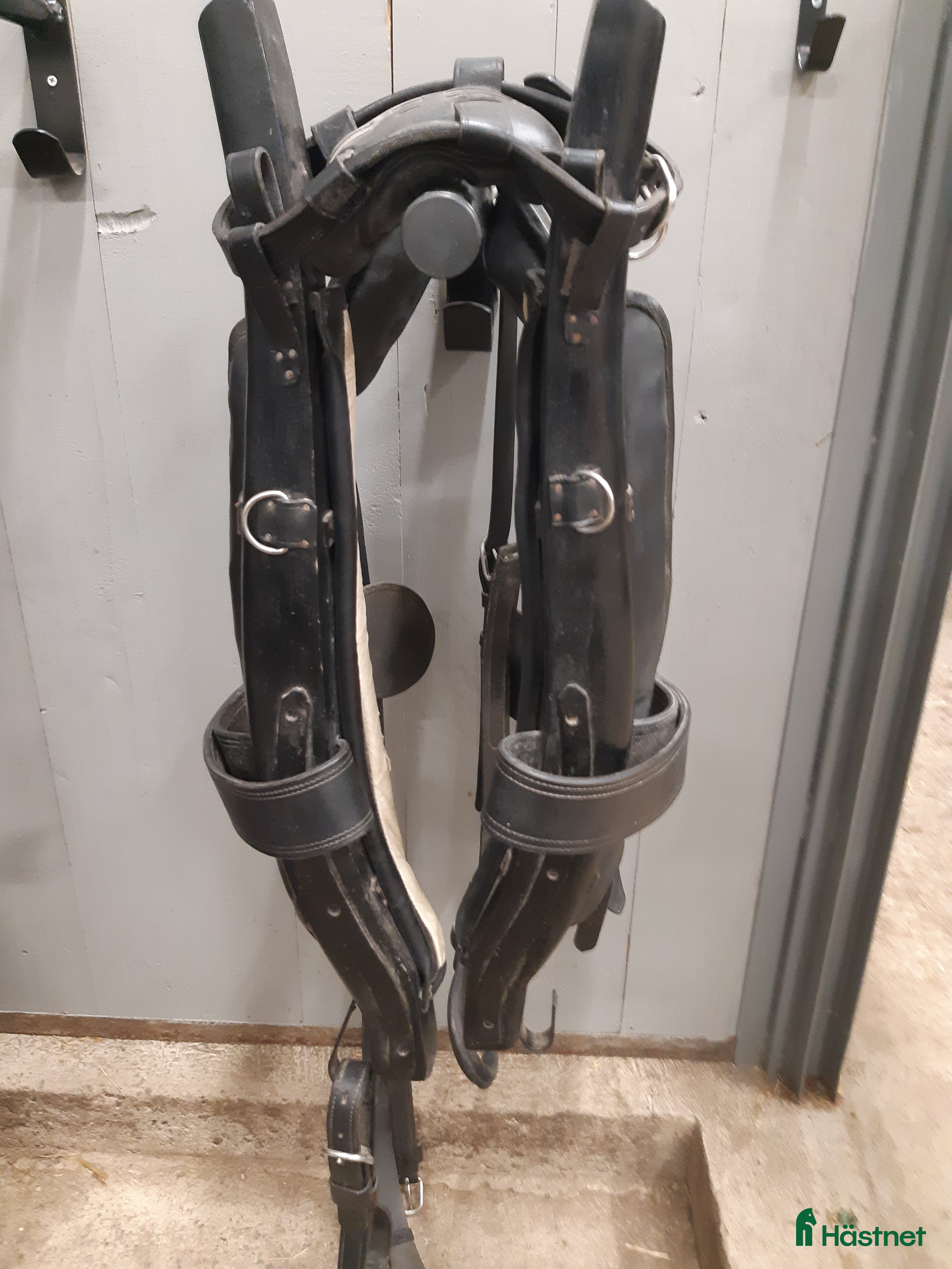 Körselar körning till salu: Loksele stl cob i Linghem - Annons 2